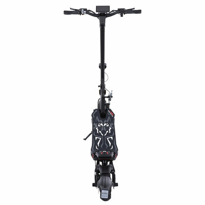 Freeboy H16 Electric Scooter