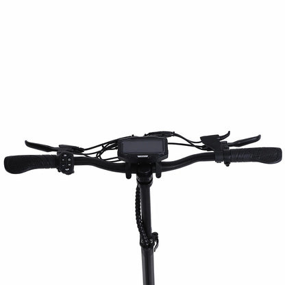 Freeboy H6 Electric Scooter